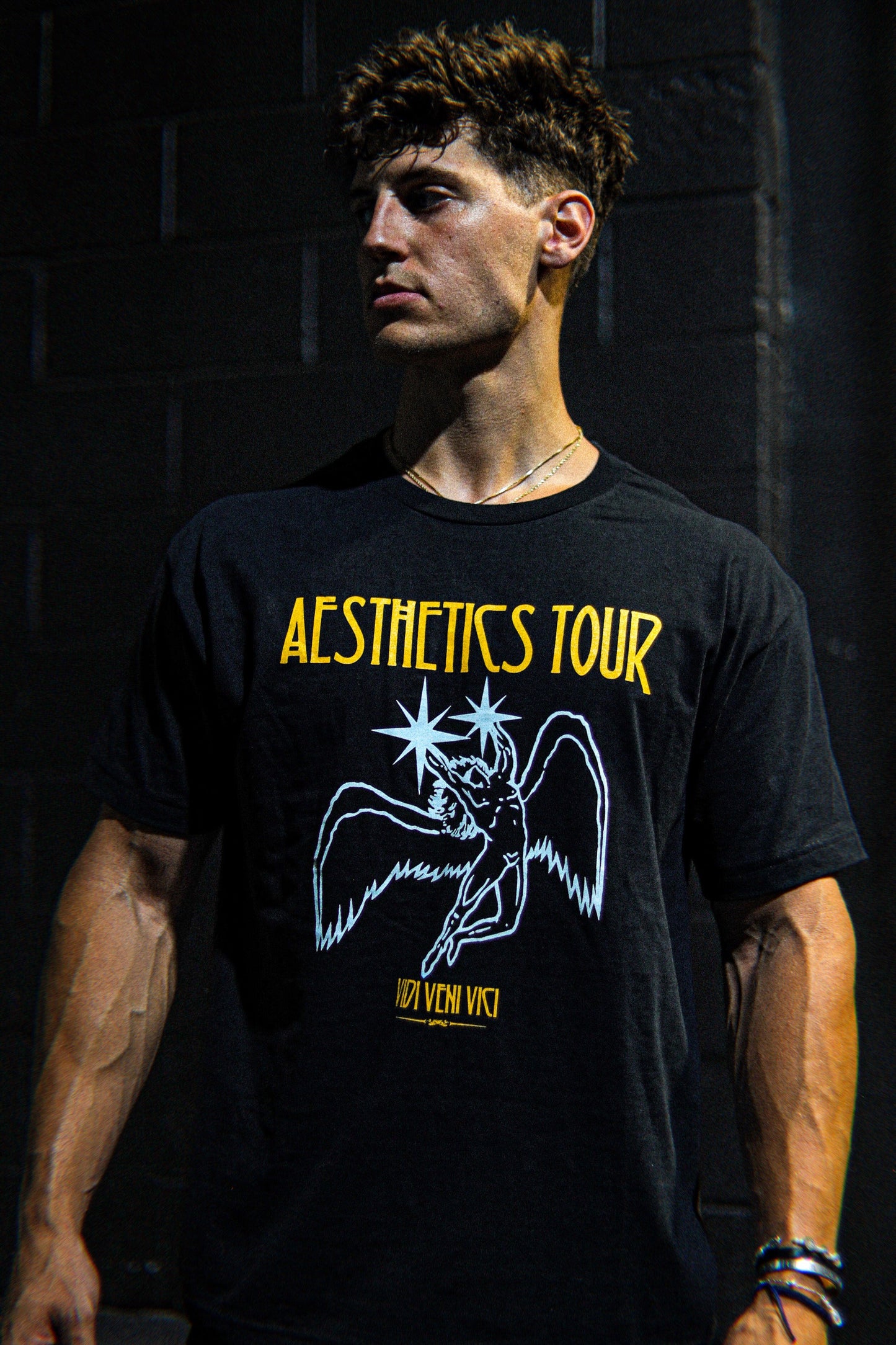 Aesthetics Tour Tee | Black